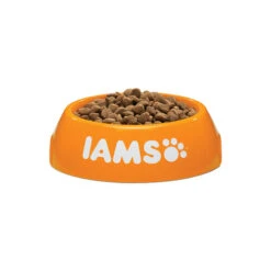 IAMS For Vitality Adult Cat Hairball -Heimtierbedarf Geschäft iams adult cat hairball 133766 0500 none
