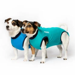 Jacketz Medical Body Suit Für Hunde 8 Jacketz Medical Body Suit Für Hunde -Heimtierbedarf Geschäft jacketz medical body suit hond 209519 0500 none