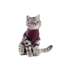 Jacketz Medical Body Suit Für Katzen 10 Jacketz Medical Body Suit Für Katzen -Heimtierbedarf Geschäft jacketz medical body suit kat 154129 0500 none