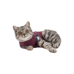 Jacketz Medical Body Suit Für Katzen 11 Jacketz Medical Body Suit Für Katzen -Heimtierbedarf Geschäft jacketz medical body suit kat 154147 0500 none