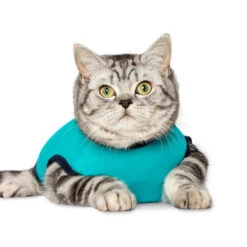 Jacketz Medical Body Suit Für Katzen 13 Jacketz Medical Body Suit Für Katzen -Heimtierbedarf Geschäft jacketz medical body suit kat 209783 0500 none