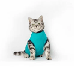 Jacketz Medical Body Suit Für Katzen 12 Jacketz Medical Body Suit Für Katzen -Heimtierbedarf Geschäft jacketz medical body suit kat 209789 0500 none