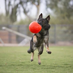 Jolly Soccer Ball -Heimtierbedarf Geschäft jolly soccer ball 162241 0500 none