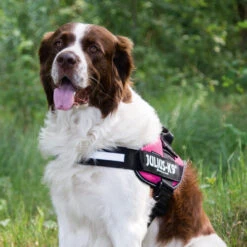 Julius K9 IDC Powergeschirr -Heimtierbedarf Geschäft julius k9 idc powertuig 192695 0500 none