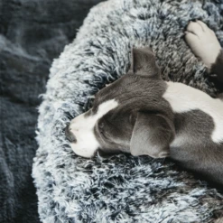 Kentucky Dogwear - Comfort Donut-Hundekorb 11 Kentucky Dogwear - Comfort Donut-Hundekorb -Heimtierbedarf Geschäft kentucky dogwear comfort donut hondenmand 219723 0500 none