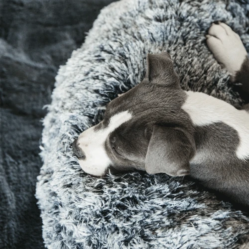 Kentucky Dogwear - Comfort Donut-Hundekorb 6 Kentucky Dogwear - Comfort Donut-Hundekorb – Bild 4