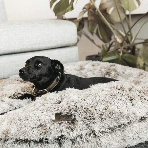 Kentucky Dogwear - Comfort Donut-Hundekorb 4 Kentucky Dogwear - Comfort Donut-Hundekorb – Bild 2