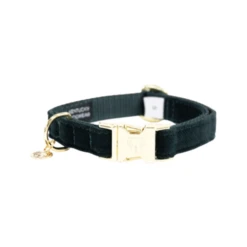 Kentucky Dogwear Corduroy Hundehalsband -Heimtierbedarf Geschäft kentucky dogwear corduroy hondenhalsband 219194 0500 none