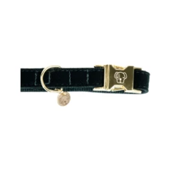 Kentucky Dogwear Corduroy Hundehalsband -Heimtierbedarf Geschäft kentucky dogwear corduroy hondenhalsband 219195 0500 none