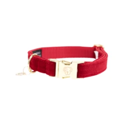 Kentucky Dogwear Corduroy Hundehalsband -Heimtierbedarf Geschäft kentucky dogwear corduroy hondenhalsband 219198 0500 none