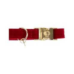 Kentucky Dogwear Corduroy Hundehalsband -Heimtierbedarf Geschäft kentucky dogwear corduroy hondenhalsband 219199 0500 none