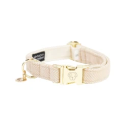 Kentucky Dogwear Hundehalsband Wool 24 Kentucky Dogwear Hundehalsband Wool -Heimtierbedarf Geschäft kentucky dogwear hondenhalsband wool 219698 0500 none
