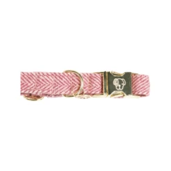 Kentucky Dogwear Hundehalsband Wool 30 Kentucky Dogwear Hundehalsband Wool -Heimtierbedarf Geschäft kentucky dogwear hondenhalsband wool 219709 0500 none