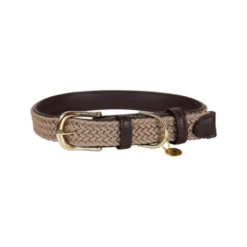 Kentucky Dogwear Nylon Hundehalsband -Heimtierbedarf Geschäft kentucky dogwear nylon hondenhalsband 219176 0500 none