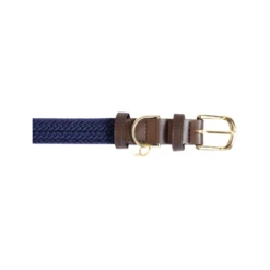 Kentucky Dogwear Nylon Hundehalsband -Heimtierbedarf Geschäft kentucky dogwear nylon hondenhalsband 219177 0500 none