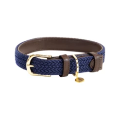Kentucky Dogwear Nylon Hundehalsband -Heimtierbedarf Geschäft kentucky dogwear nylon hondenhalsband 219180 0500 none