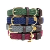 Kentucky Dogwear Nylon Hundehalsband -Heimtierbedarf Geschäft kentucky dogwear nylon hondenhalsband 219181 0500 none
