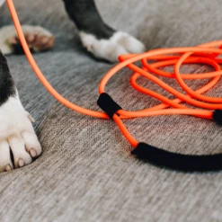 Kentucky Dogwear Schleppleine Soft Rubber -Heimtierbedarf Geschäft kentucky dogwear sleeplijn soft rubber 219203 0500 none