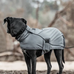 Kentucky Dogwear Soft Rubber Hundehalsband -Heimtierbedarf Geschäft kentucky dogwear soft rubber hondenhalsband 219265 0500 none