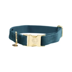 Kentucky Dogwear Velvet Hundehalsband -Heimtierbedarf Geschäft kentucky dogwear velvet hondenhalsband 219231 0500 none