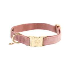 Kentucky Dogwear Velvet Hundehalsband -Heimtierbedarf Geschäft kentucky dogwear velvet hondenhalsband 219234 0500 none