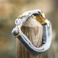 Kentucky Dogwear Velvet Hundehalsband -Heimtierbedarf Geschäft kentucky dogwear velvet hondenhalsband 219236 0500 none