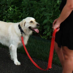 KONG Adjustable Leash 8 KONG Adjustable Leash -Heimtierbedarf Geschäft kong adjustable leash 194813 0500 none