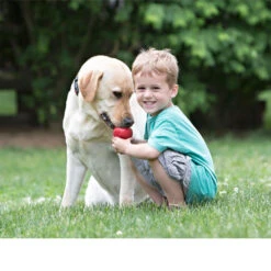 KONG Classic 17 KONG Classic -Heimtierbedarf Geschäft kong classic 98642 0500 none