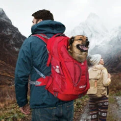 Kurgo G-Train K9 Pack -Heimtierbedarf Geschäft kurgo g train k9 pack 177133 0500 none