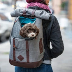 Kurgo K9 Rucksack 9 Kurgo K9 Rucksack -Heimtierbedarf Geschäft kurgo k9 rugzak 208103 0500 none