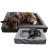 Lounge Dogbed -Heimtierbedarf Geschäft lounge dogbed 220787 0500 none