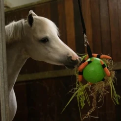 Maximus Fun Play Ball Für Pferde -Heimtierbedarf Geschäft maximus fun play ball voor paarden 207830 0500 none