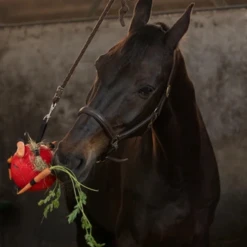 Maximus Fun Play Ball Für Pferde -Heimtierbedarf Geschäft maximus fun play ball voor paarden 207833 0500 none