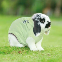Medical Pet Shirt Kaninchen -Heimtierbedarf Geschäft medical pet shirt konijn 149891 0500 none