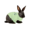 Medical Pet Shirt Kaninchen 1 Medical Pet Shirt Kaninchen -Heimtierbedarf Geschäft medical pet shirt konijn 167398 0500 none