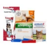 Medpets Kitten-Paket - 2 Bis 4 Kg 1 Medpets Kitten-Paket - 2 Bis 4 Kg -Heimtierbedarf Geschäft medpets kittenpakket 2 tot 4 kg 136738 0500 none