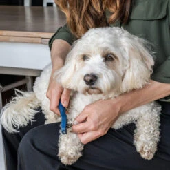 Mikki Doodle De-Matter 9 Mikki Doodle De-Matter -Heimtierbedarf Geschäft mikki doodle de matter 194483 0500 none