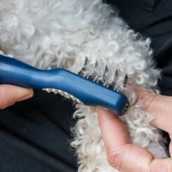 Mikki Doodle De-Matter 7 Mikki Doodle De-Matter -Heimtierbedarf Geschäft mikki doodle de matter 194486 0500 none