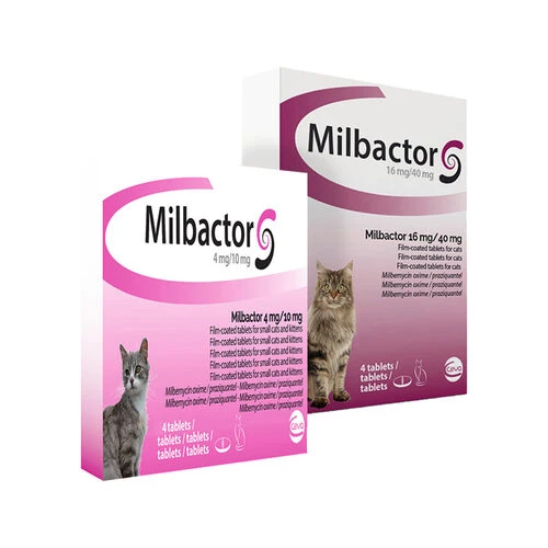 Milbactor Katze 3 Milbactor Katze