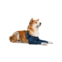 MPS-TAZ2 Vorderpfotenschutz -Heimtierbedarf Geschäft mps taz2 voorpootmouwtjes 167446 0500 none