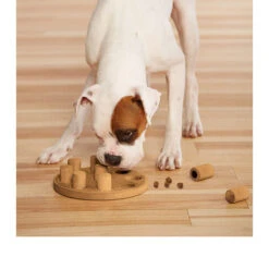 Nina Ottosson Dog Smart -Heimtierbedarf Geschäft nina ottosson dog smart 96080 0500 none