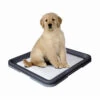 Nobby Doggy Trainer & Pads -Heimtierbedarf Geschäft nobby doggy trainer 130274 0500 none