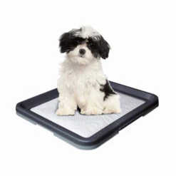 Nobby Doggy Trainer & Pads -Heimtierbedarf Geschäft nobby doggy trainer 130277 0500 none
