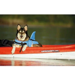 Nobby Hundeschwimmweste Sharki 8 Nobby Hundeschwimmweste Sharki -Heimtierbedarf Geschäft nobby sharki hondenzwemvest 221666 0500 none