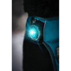 Orbiloc Dog Dual Safety Light -Heimtierbedarf Geschäft orbiloc led veiligheidslamp 188103 0500 none