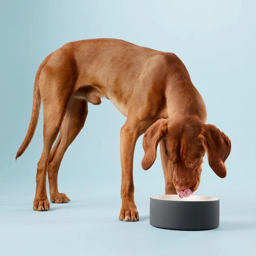 PAIKKA Cool Bowl 9 PAIKKA Cool Bowl – Bild 7