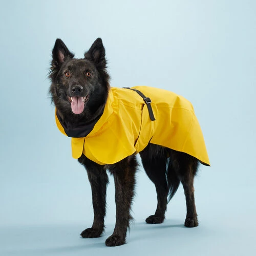 PAIKKA Visibility Raincoat Lite Yellow 4 PAIKKA Visibility Raincoat Lite Yellow – Bild 2