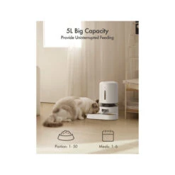 Petlibro Granary Dual Food Tray -Heimtierbedarf Geschäft petlibro granary dual food tray 221350 0500 none