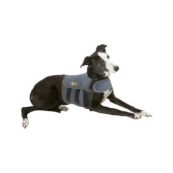 Petlife KarmaWrap Für Hunde -Heimtierbedarf Geschäft petlife karmawrap hond 154186 0500 none
