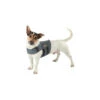 Petlife KarmaWrap Für Hunde 2 Petlife KarmaWrap Für Hunde -Heimtierbedarf Geschäft petlife karmawrap hond 154189 0500 none
